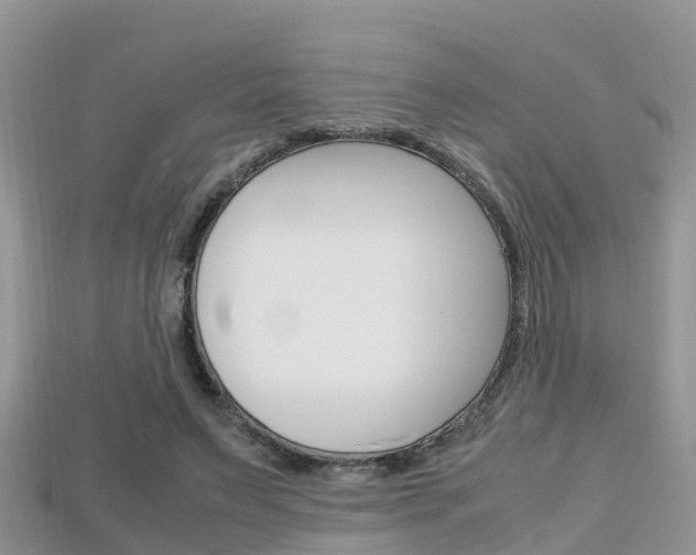 X0000115680495200911120950