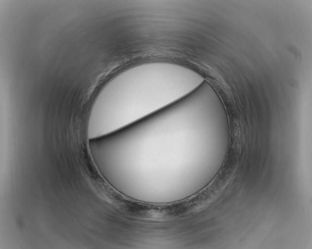 X0000115680496200911120950