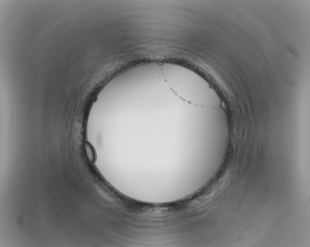 X0000115680497200911120950
