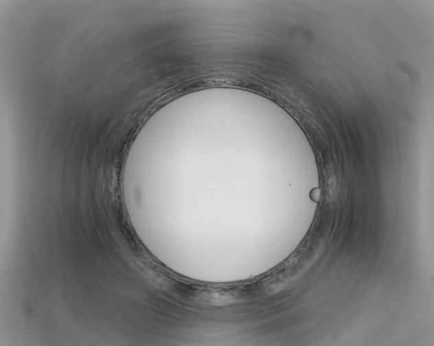 X0000115680498200911120950