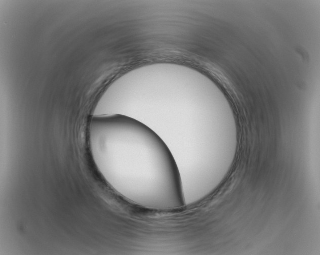 X0000115680501200911120950
