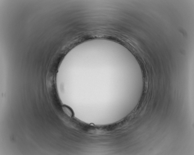 X0000115680503200911120950