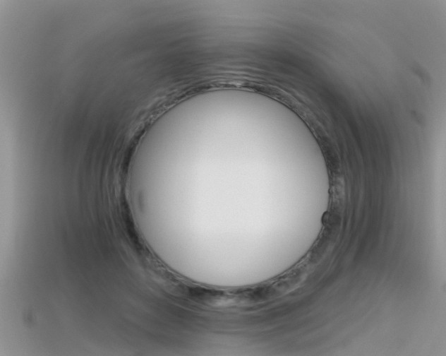 X0000115680504200911120950