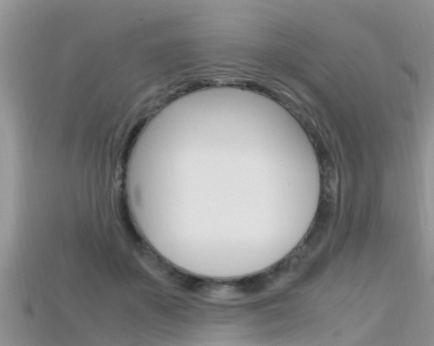 X0000115680507200911120950