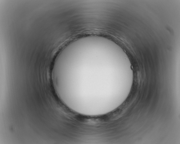 X0000115680508200911120950