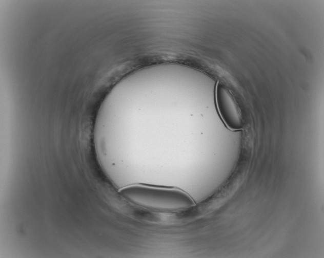 X0000115680509200911120950
