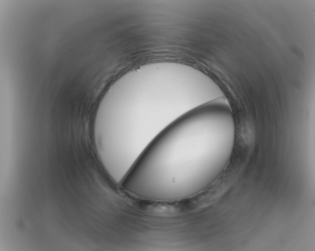 X0000115680512200911120950