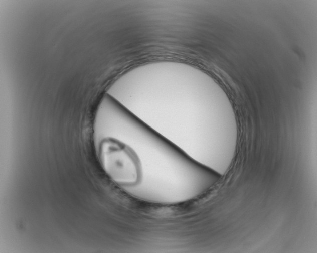 X0000115680513200911120950