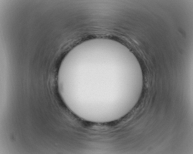 X0000115680515200911120950