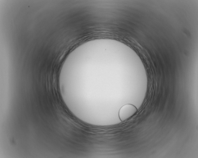 X0000115680516200911120950