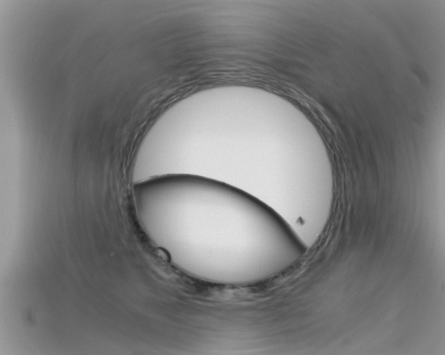 X0000115680517200911120949
