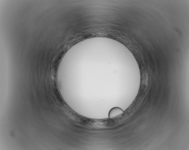 X0000115680518200911120949
