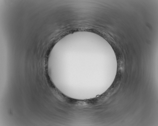 X0000115680519200911120949