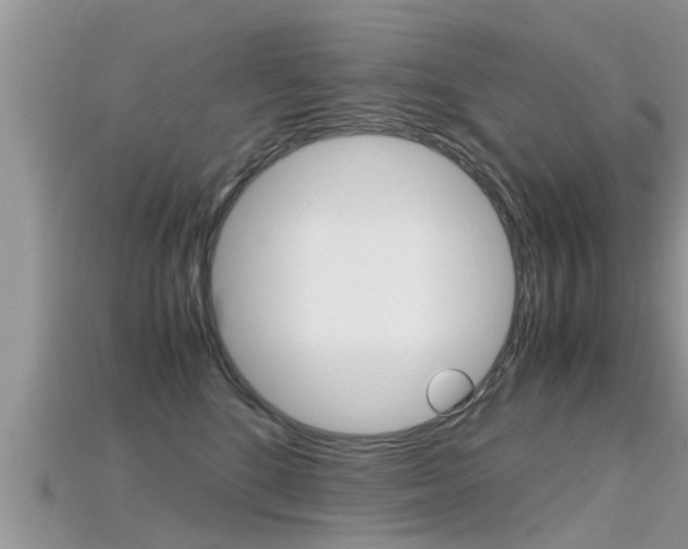 X0000115680520200911120949