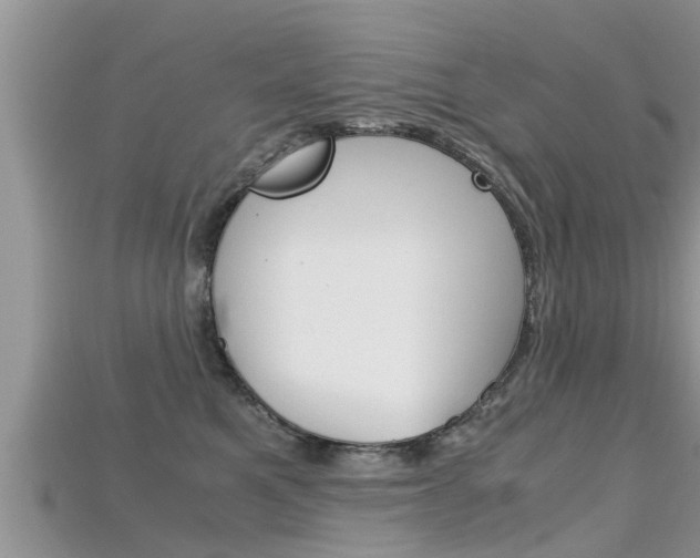 X0000115680521200911120949