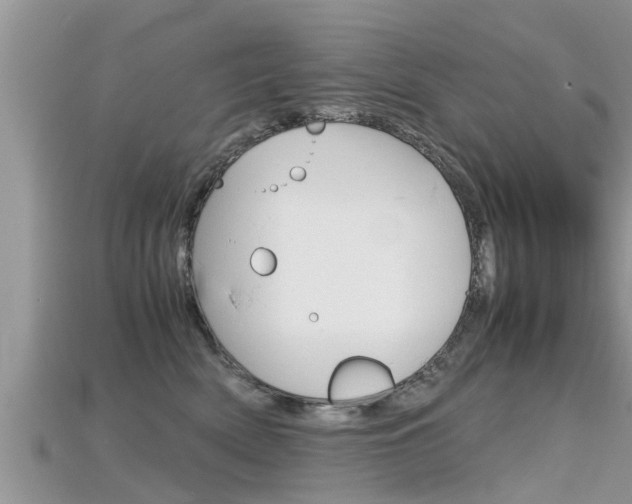 X0000115680522200911120949
