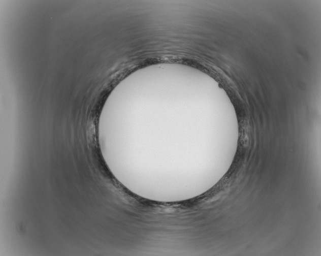 X0000115680523200911120949