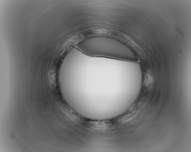 X0000115680524200911120949