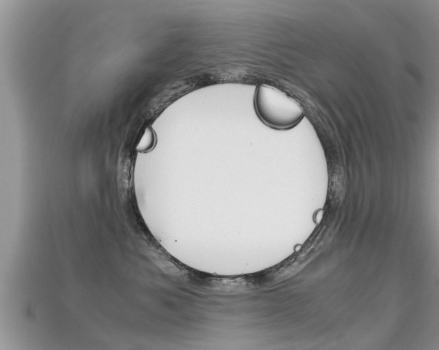 X0000115680525200911120949