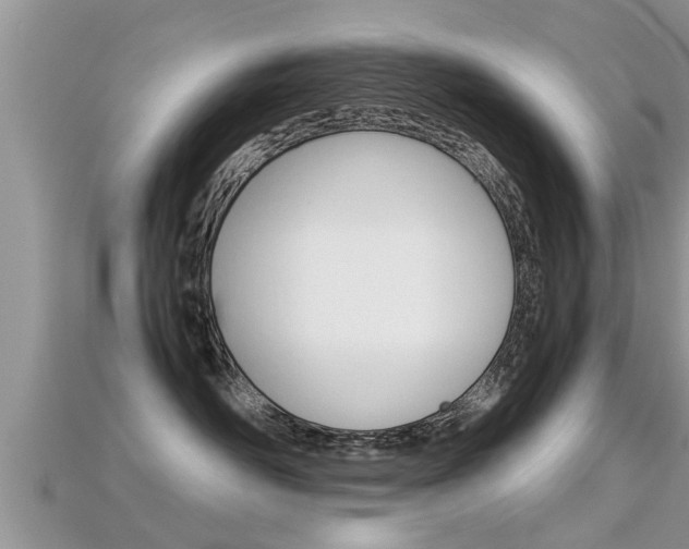 X0000115680526200911120949