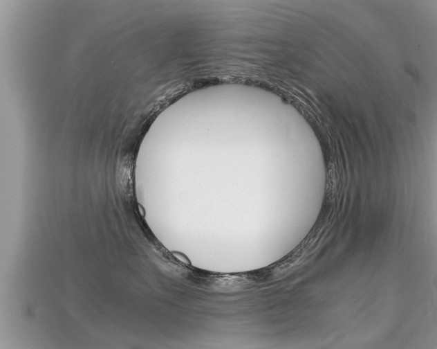 X0000115680527200911120949