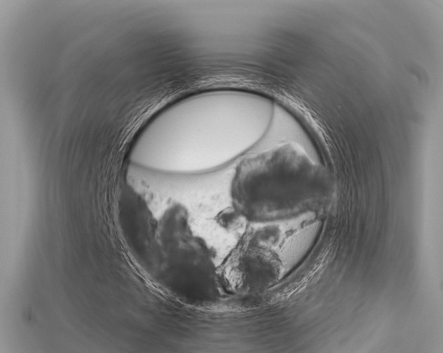 X0000115680529200911120949