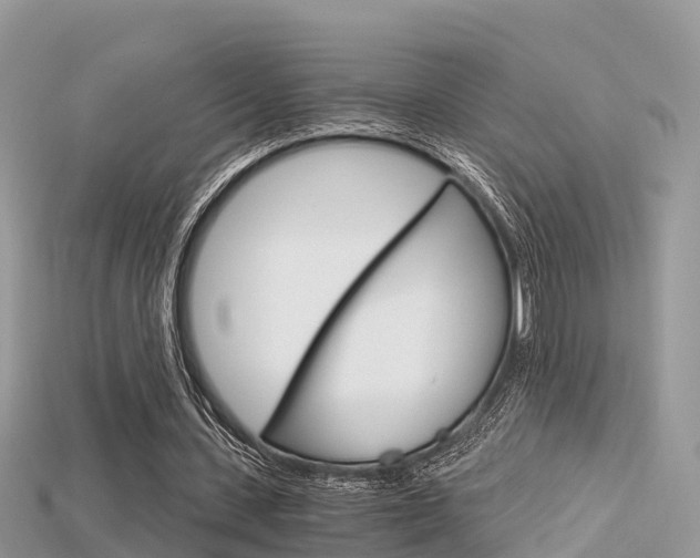 X0000115680531200911120949