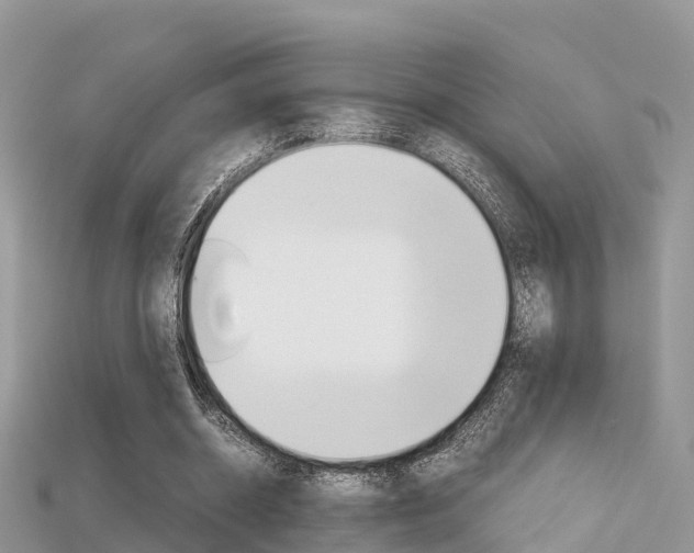 X0000115680534200911120949