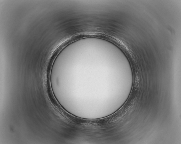 X0000115680535200911120949