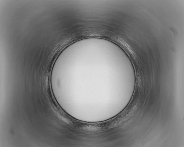 X0000115680537200911120949