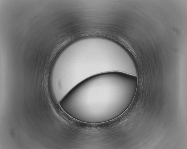 X0000115680538200911120949