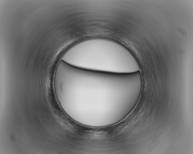 X0000115680539200911120949
