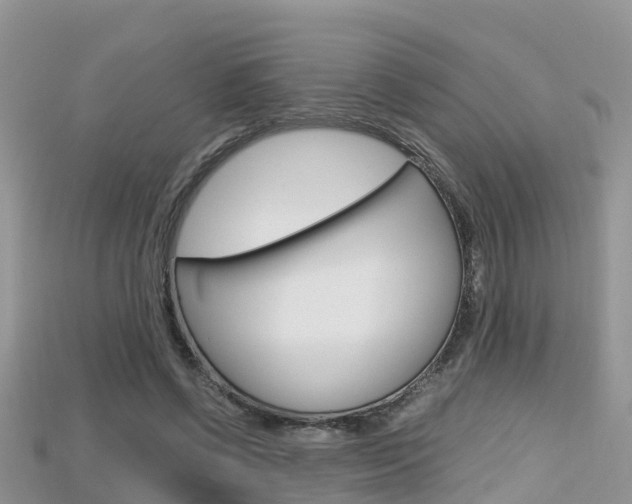 X0000115680542200911120949