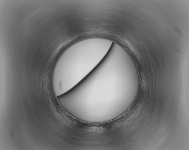 X0000115680543200911120949