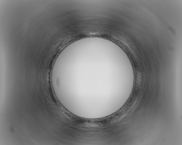 X0000115680545200911120949