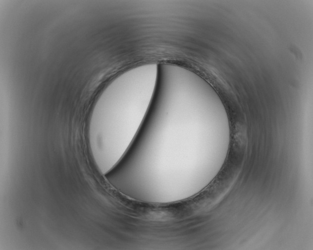 X0000115680547200911120949