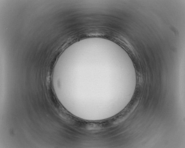 X0000115680549200911120949