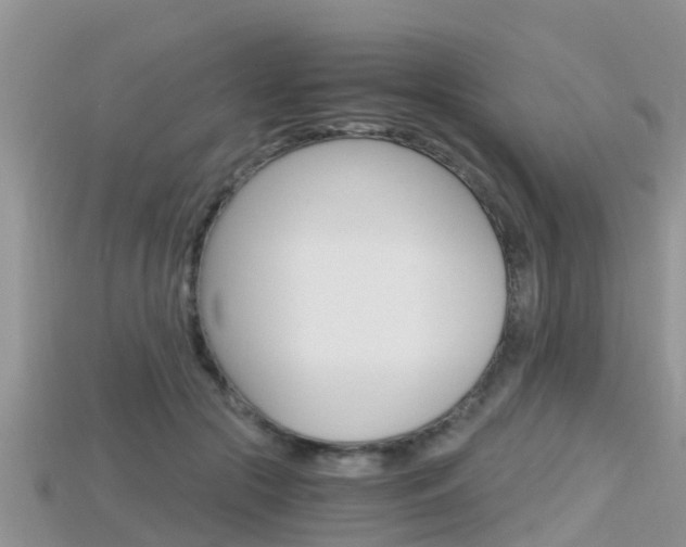 X0000115680553200911120949
