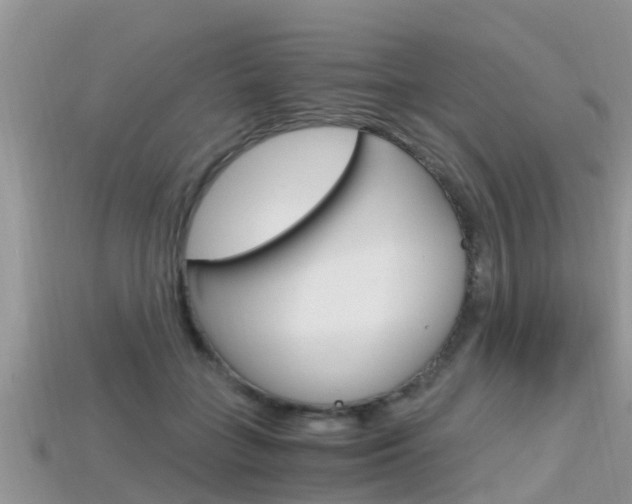 X0000115680555200911120949