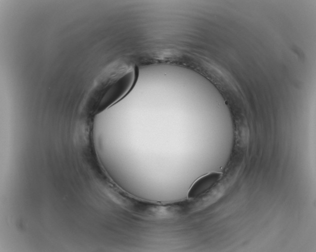 X0000115680558200911120949