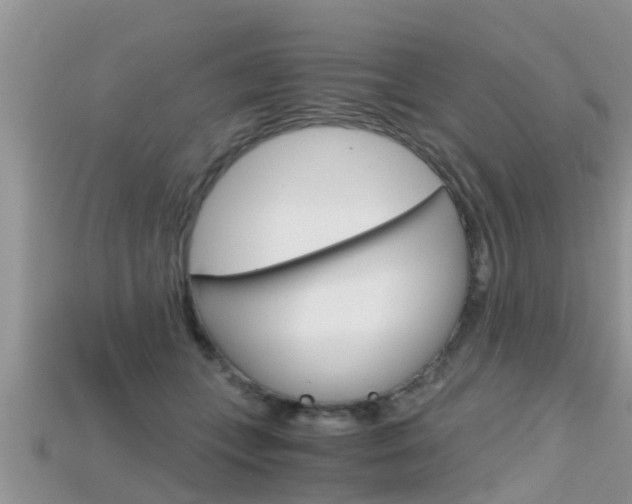 X0000115680559200911120949