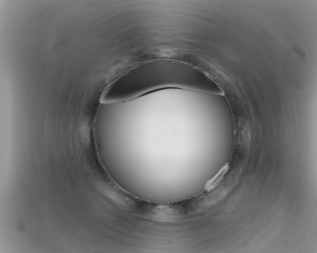 X0000115680562200911120949