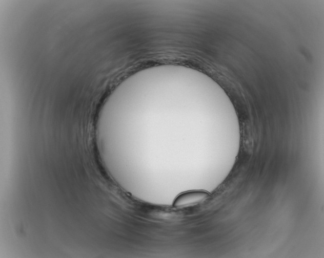 X0000115680563200911120949