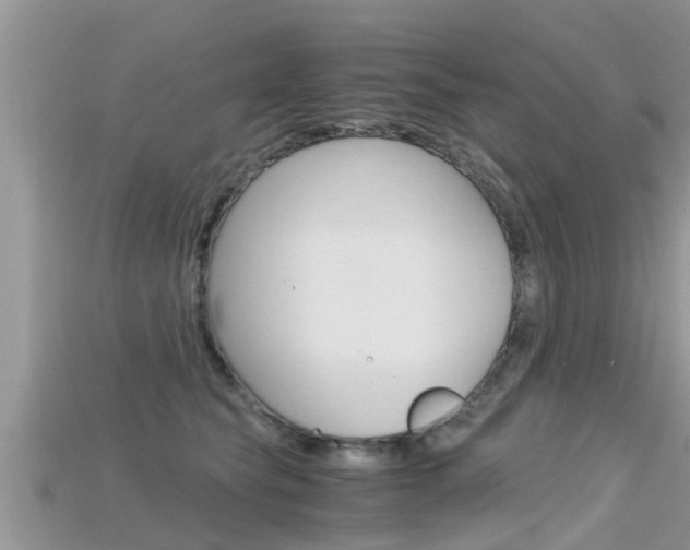 X0000115680565200911120949