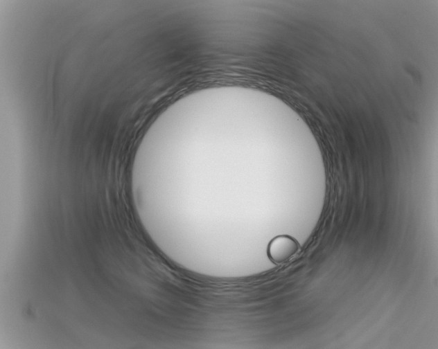 X0000115680566200911120949