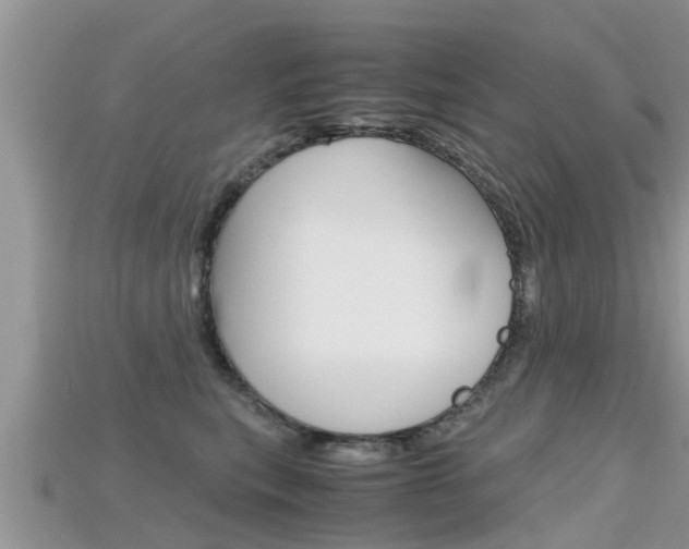 X0000115680567200911120949