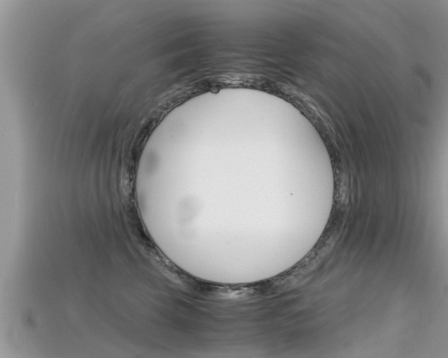 X0000115680569200911120949