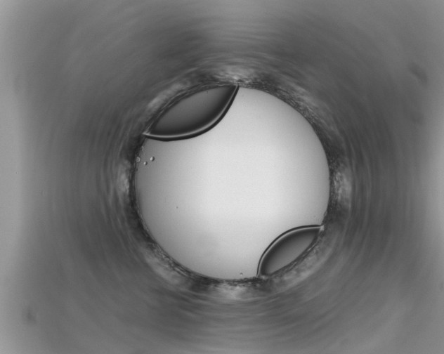 X0000115680570200911120949