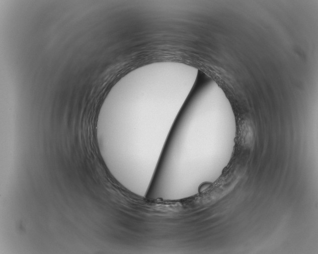 X0000115680571200911120949