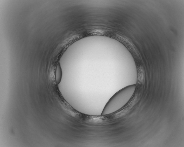 X0000115680573200911120949